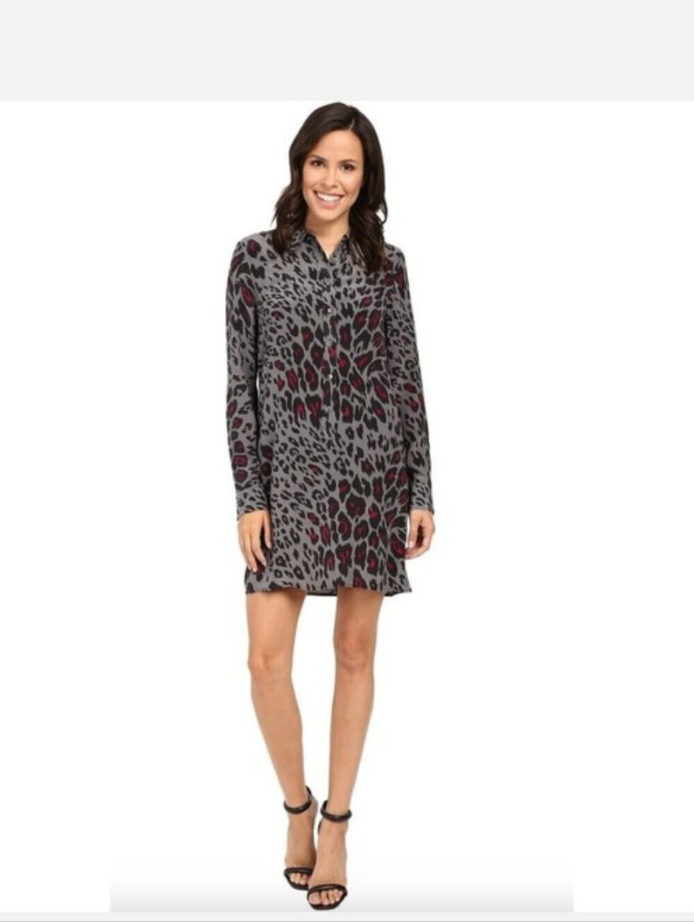 Equipment Femme Silk Leopard Print Shirt Dress